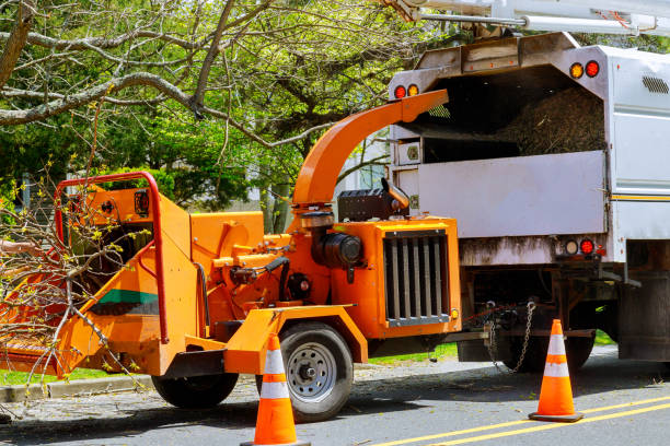 Best Utility Line Clearance  in Mattydale, NY