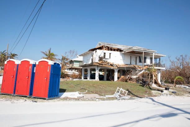 Best Hazardous Tree Removal  in Mattydale, NY